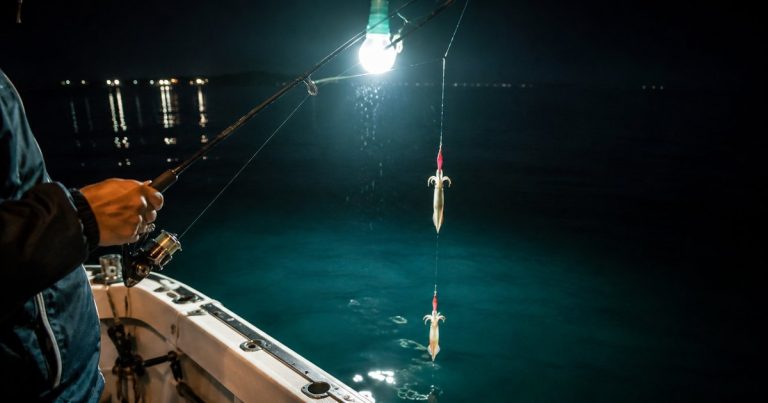 pesca de calamar desde barco